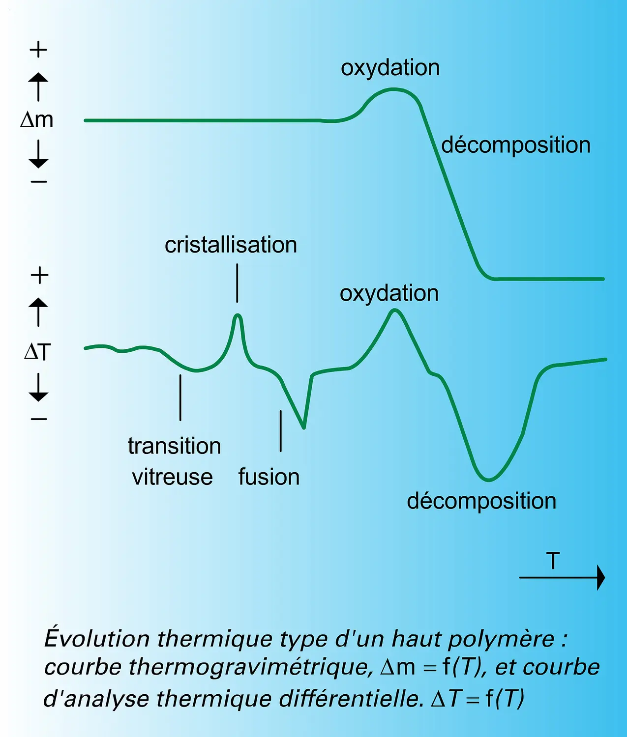 Haut polymère : évolution thermique