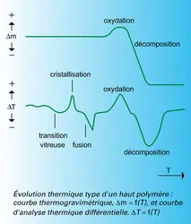 Haut polymère : évolution thermique - crédits : Encyclopædia Universalis France