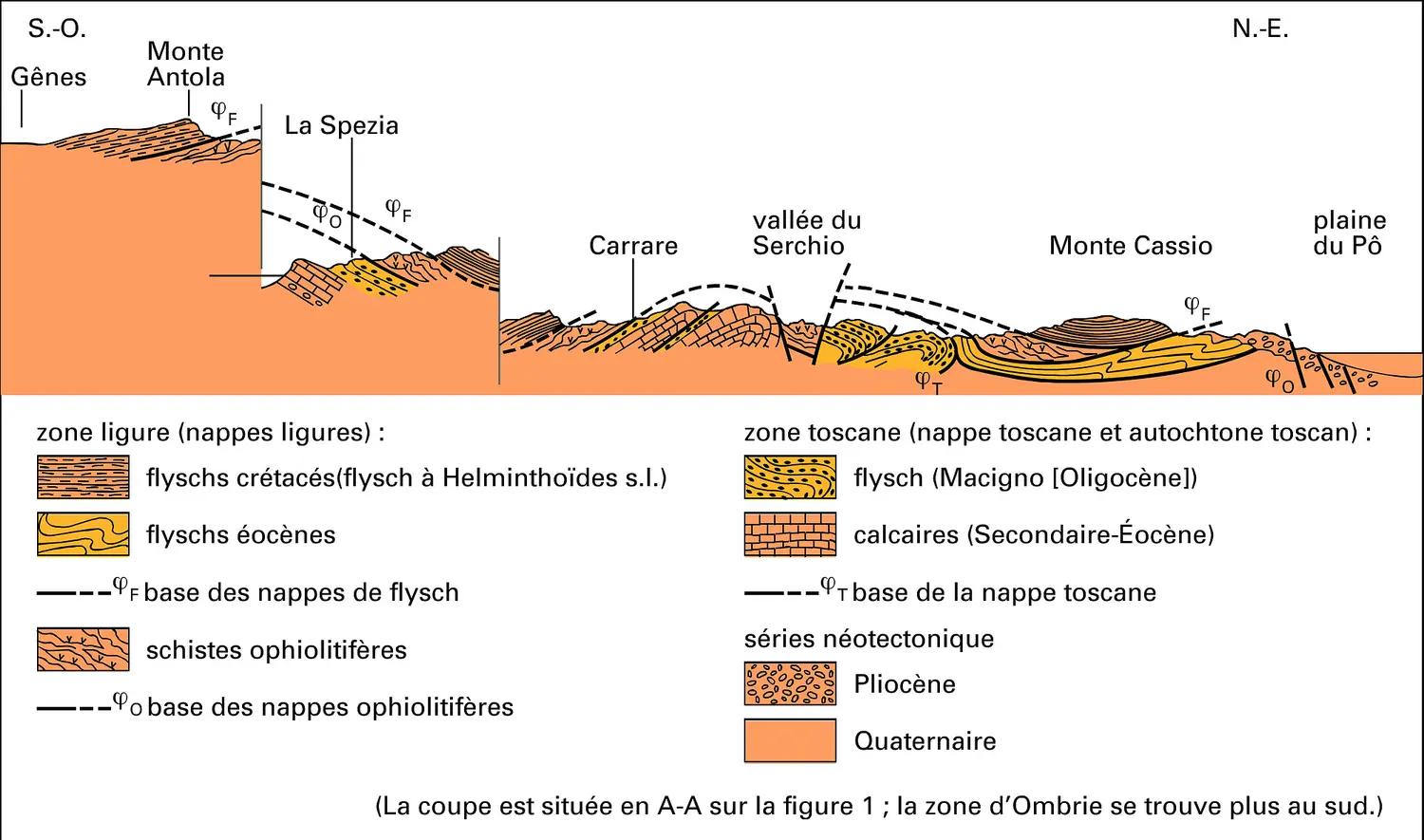 Profil tectonique de l'Apennin septentrional