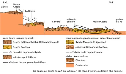 Profil tectonique de l'Apennin septentrional - crédits : Encyclopædia Universalis France