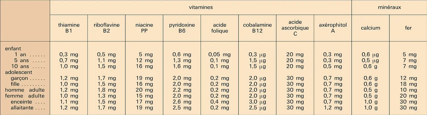Vitamines et minéraux : apport journalier