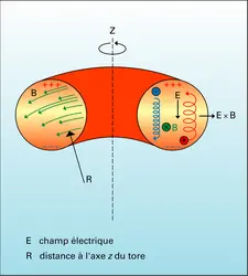 Tore avec lignes de forces et dérive des particules chargées - crédits : Encyclopædia Universalis France