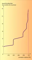 Isothermes d'adsorption du krypton - crédits : Encyclopædia Universalis France