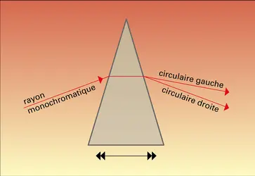 Prisme de quartz et biréfringence circulaire - crédits : Encyclopædia Universalis France