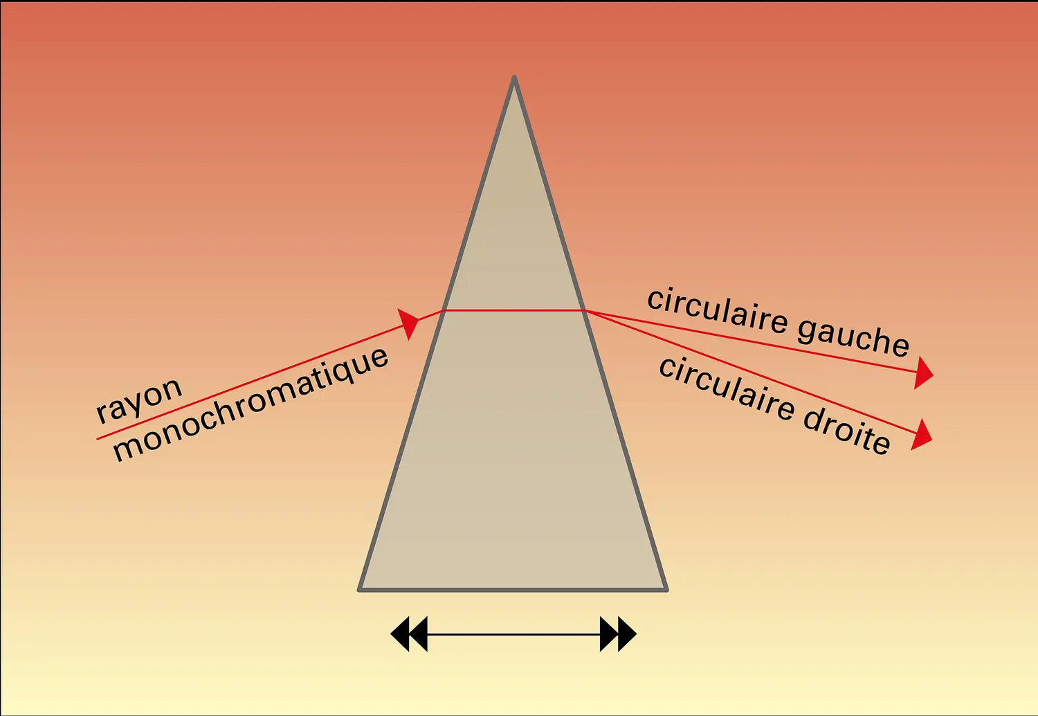 Prisme de quartz et biréfringence circulaire