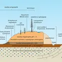 Tourbière ombrogène - crédits : Encyclopædia Universalis France