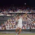 John Newcombe - crédits : Tim Graham/ Hulton Archive/ Getty Images