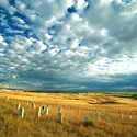 Little Bighorn : cimetière - crédits : Randy Wells/ Getty Images