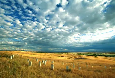 Little Bighorn : cimetière - crédits : Randy Wells/ Getty Images