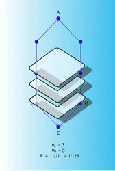 Coefficient de consanguinité - crédits : Encyclopædia Universalis France