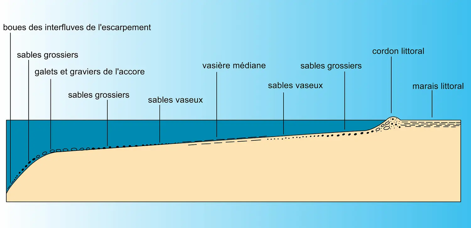 Répartition des sédiments