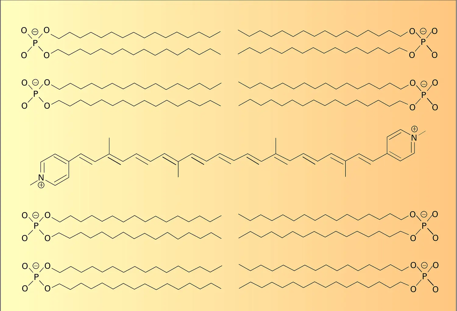 Incorporation transmembranaire