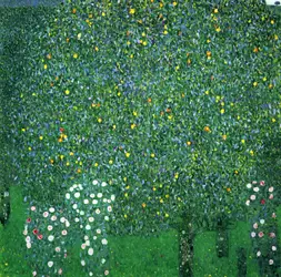 <it>Rosiers sous les arbres</it>, G. Klimt - crédits : Pierce Archive LLC/ Buyenlarge/ Getty Images