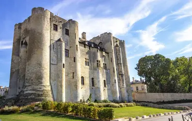 Niort : le donjon - crédits : Vincent Mordrelle/ Shutterstock