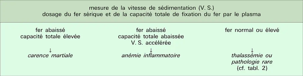 Anémie microcytaire - crédits : Encyclopædia Universalis France