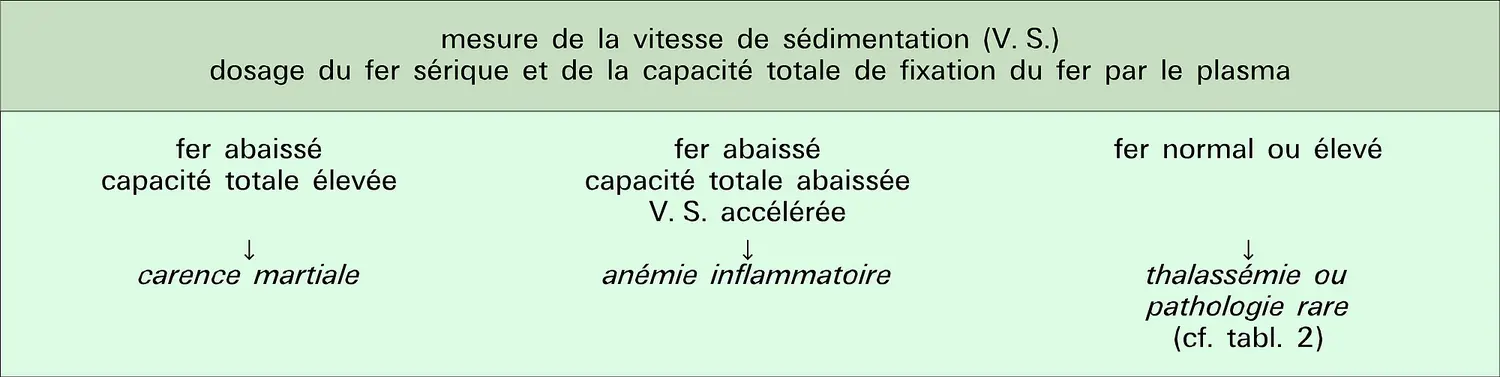 Anémie microcytaire