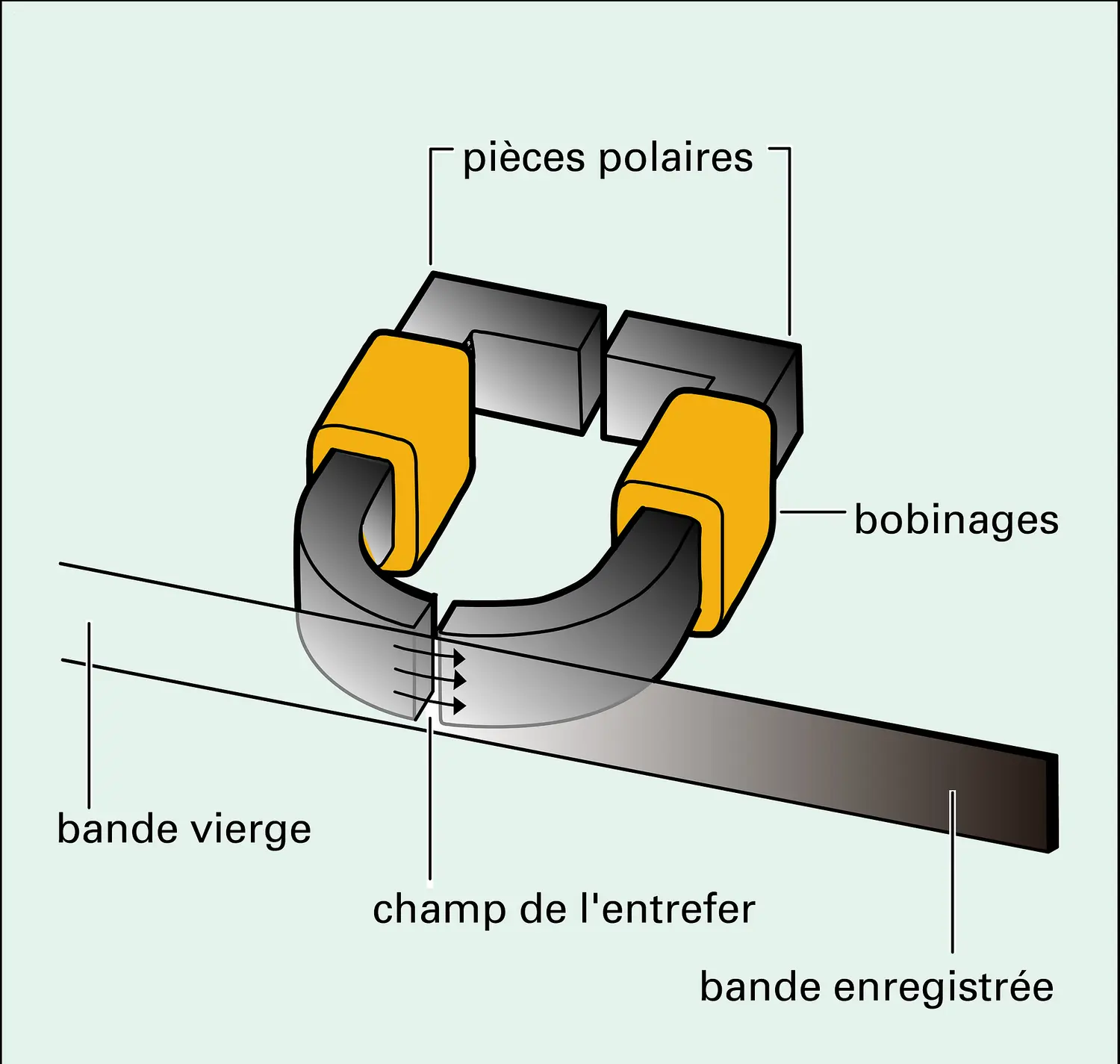 Têtes d'enregistrement