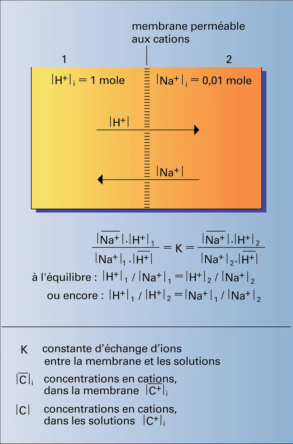 Dialyse ionique