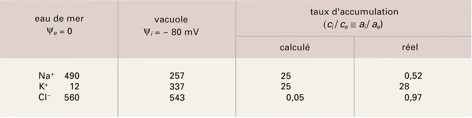 Algue marine : concentrations vacuolaires