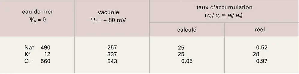 Algue marine : concentrations vacuolaires - crédits : Encyclopædia Universalis France