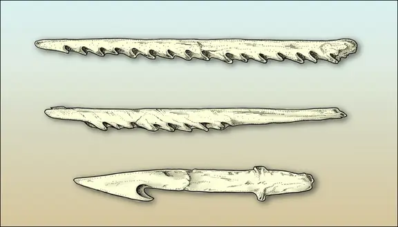 Harpons en os de baleine