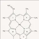 Chlorophylle a : molécule - crédits : Encyclopædia Universalis France