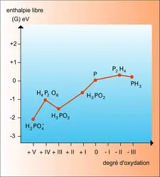 Oxydroréduction du phosphore - crédits : Encyclopædia Universalis France