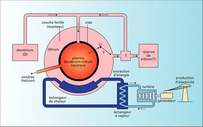 Réacteur de fusion deutérium-tritium - crédits : Encyclopædia Universalis France
