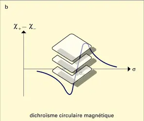 Dichroïsme circulaire magnétique et effet Faraday - crédits : Encyclopædia Universalis France