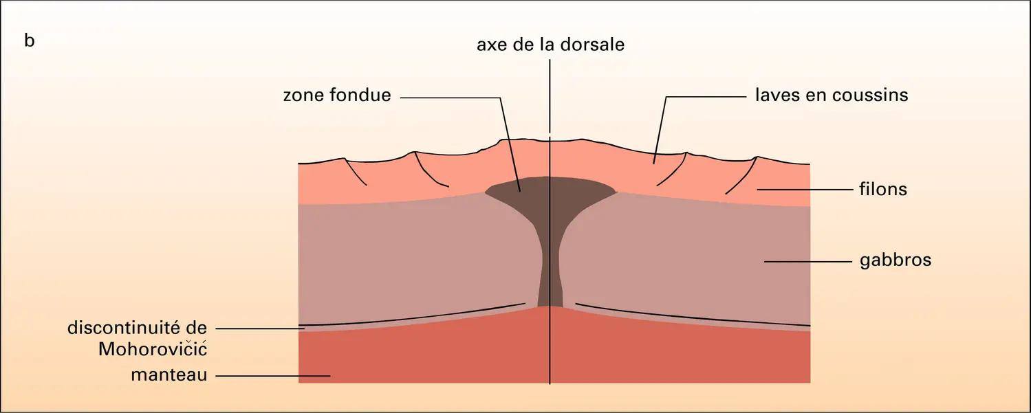 Chambre magmatique de la dorsale du Pacifique est - vue 2