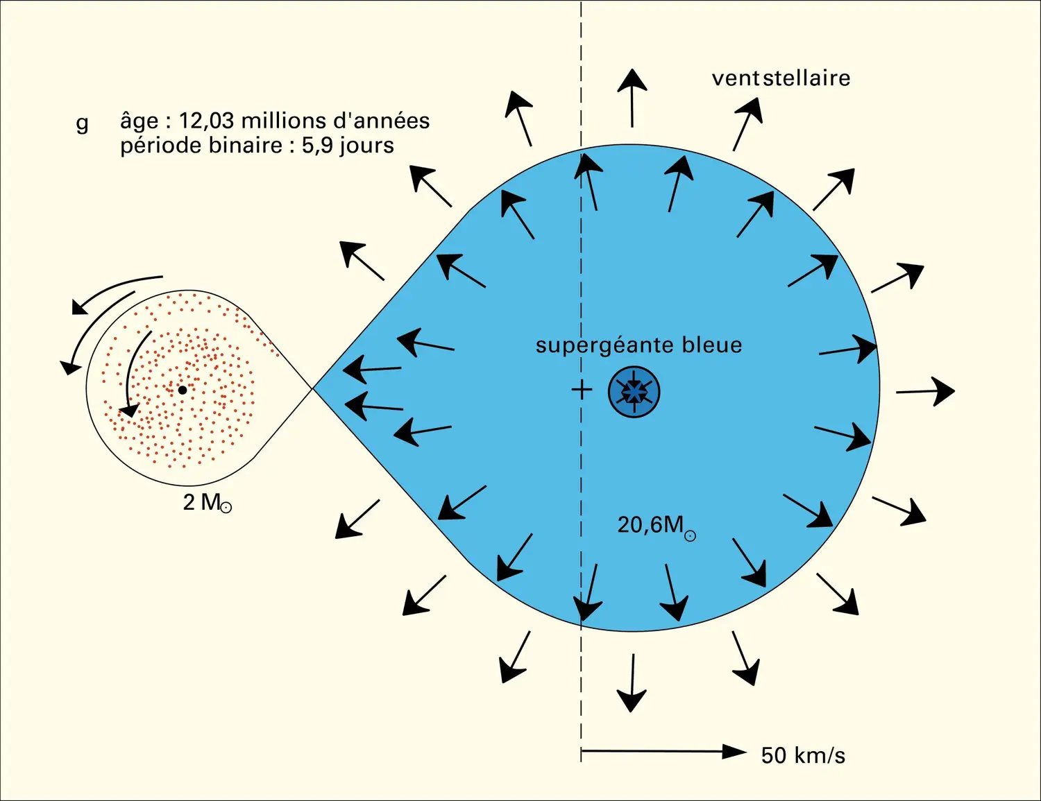 Source de rayons X issue d'un système binaire serré - vue 7