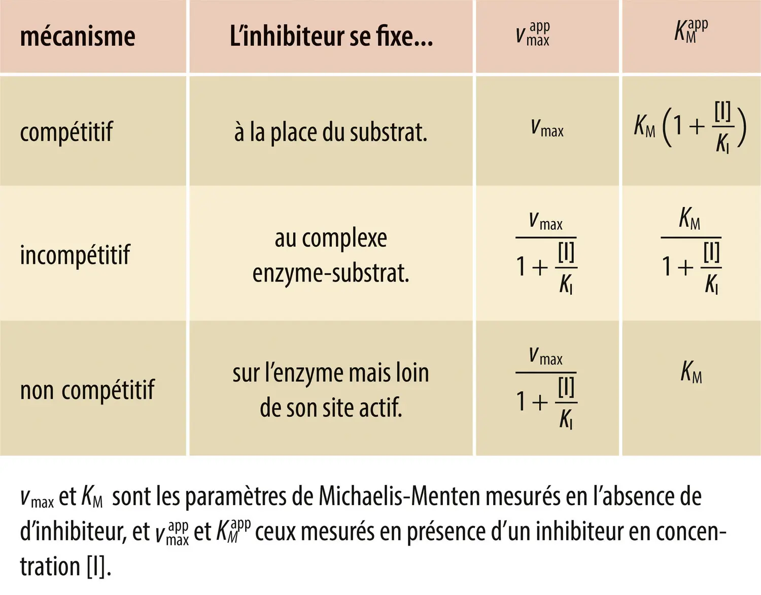 Caractéristiques cinétiques des différents mécanismes d’inhibition