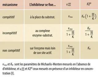 Caractéristiques cinétiques des différents mécanismes d’inhibition - crédits : Encyclopædia Universalis France