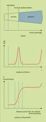 Concentration de particules lors d'une ultracentrifugation analytique - crédits : Encyclopædia Universalis France