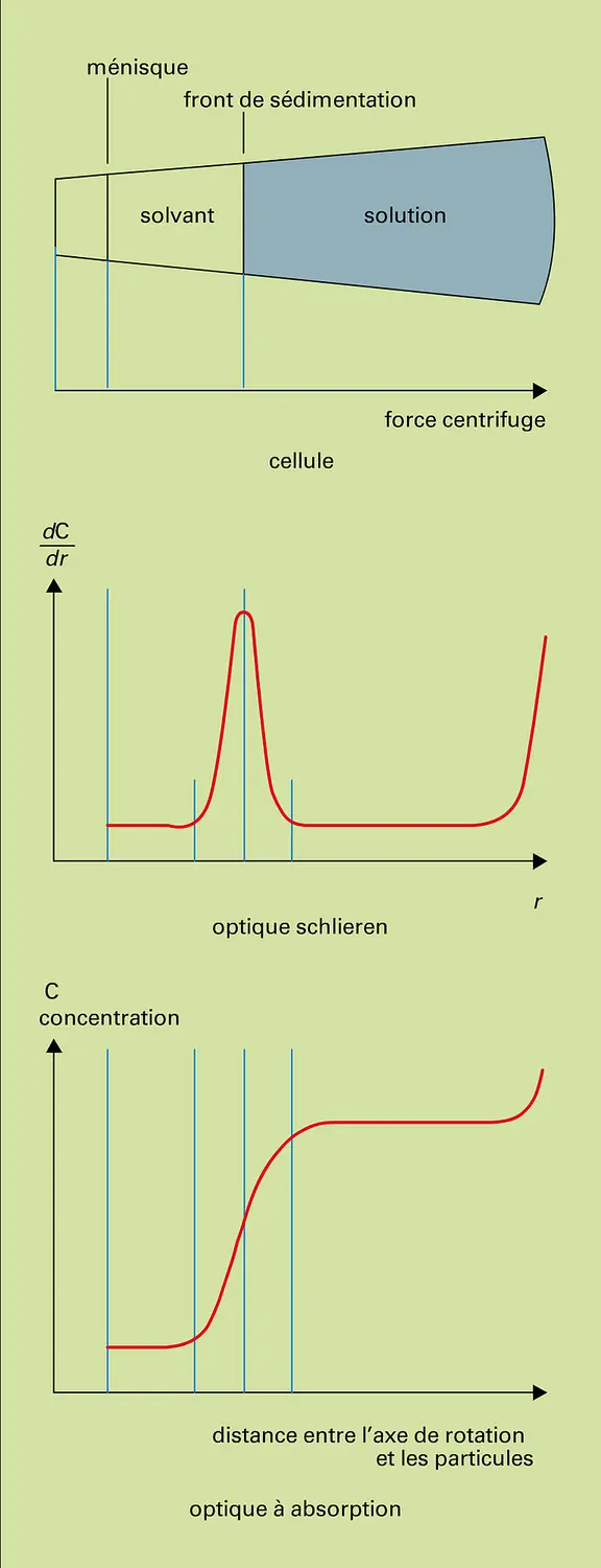 Concentration de particules lors d'une ultracentrifugation analytique