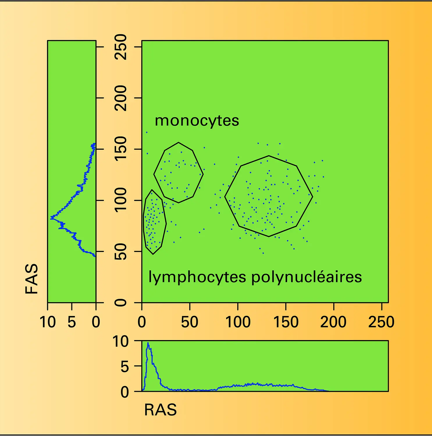 Distribution des leucocytes du sang