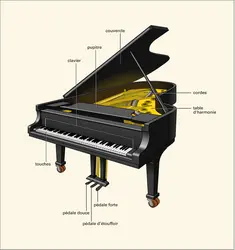 Anatomie d'un piano droit et nomenclature