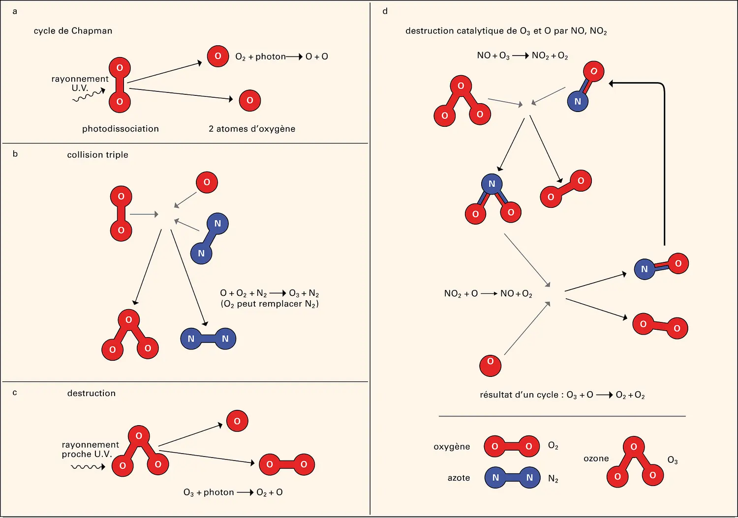 Formation et destruction de l'ozone stratosphérique