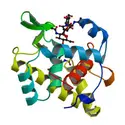 Complexe de l’enzyme lysozyme avec son substrat - crédits : RCSB PDB (rcsb.org) of 3GXR (Helland et al. 2009 Cell.Mol.Life Sci. 66: 2585-2598)