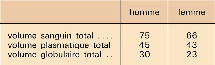 Volume sanguin chez l'adulte - crédits : Encyclopædia Universalis France