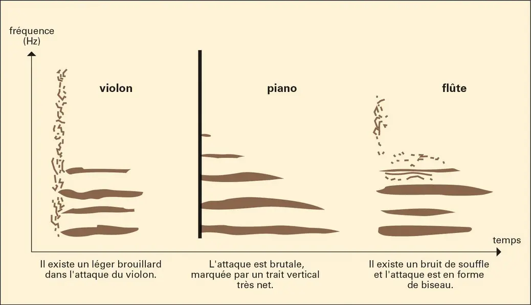 Musique : transitoires d'attaque