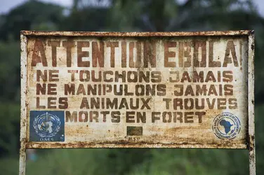 Avertissement aux visiteurs d'un parc national congolais - crédits : Pete Oxford/ Minden Pictures/ Biosphoto