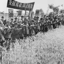 Propagande maoïste dans les campagnes chinoises, 1967 - crédits : Universal History Archive/ UIG/ Getty Images