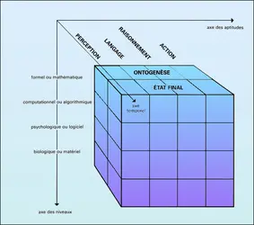 Prisme cognitif - crédits : Encyclopædia Universalis France