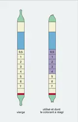 Tubes à gel imprégné - crédits : Encyclopædia Universalis France