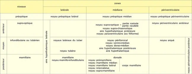 Noyaux - crédits : Encyclopædia Universalis France