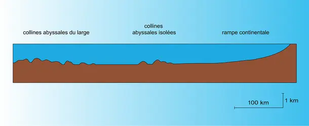 Profil schématique - crédits : Encyclopædia Universalis France