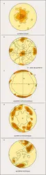 Diagrammes de fabrique - crédits : Encyclopædia Universalis France