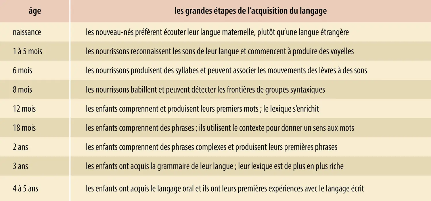 Les grandes étapes de l’acquisition du langage