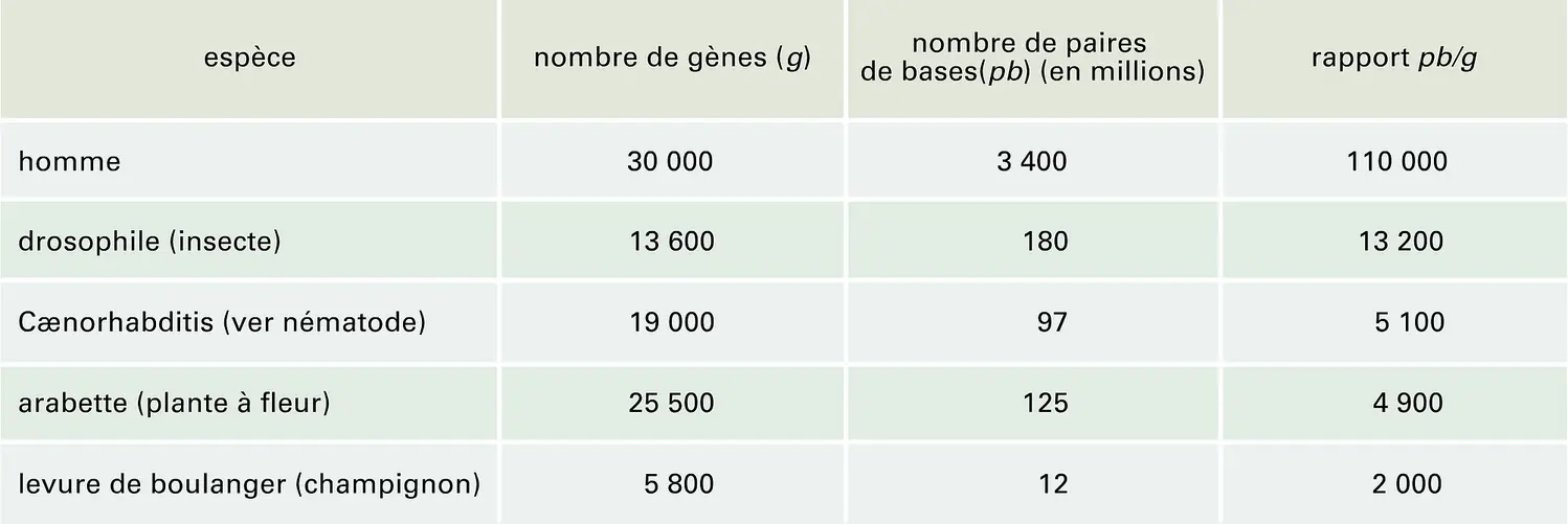 Patrimoine génétique